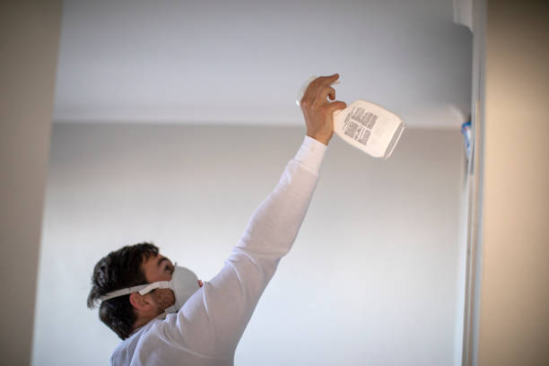 Best Emergency Mold Removal  in Doraville, GA