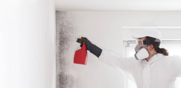 Best Mold Testing  in Doraville, GA