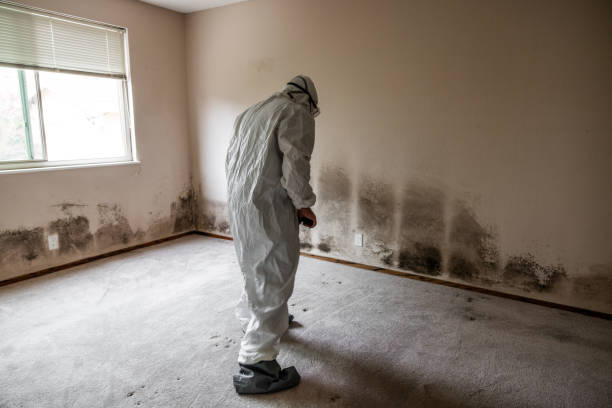 Home Mold Removal in Doraville, GA